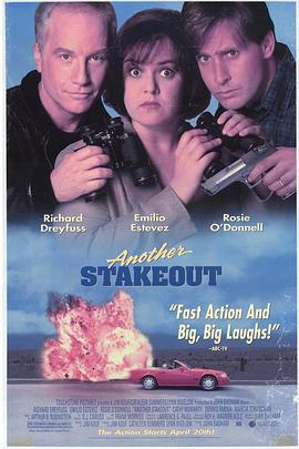 疯狂盯梢令 Another Stakeout (1993)海报