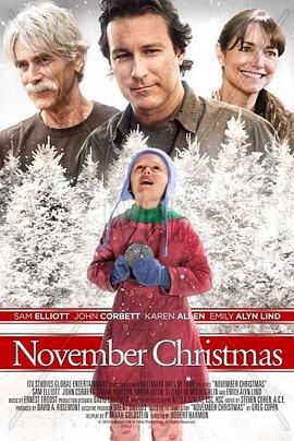 十一月的圣诞 November Christmas (2010)海报