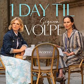 狐狸女士 第二季 Signora Volpe Season 2 (2024)海报