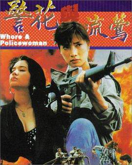 警花与流莺海报
