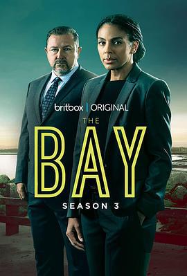 迷失海湾 第三季 The Bay Season 3 (2022)海报