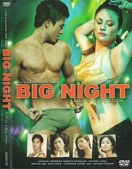 激夜 Big Night (2009)海报