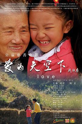 爱的天空下 (2009)海报