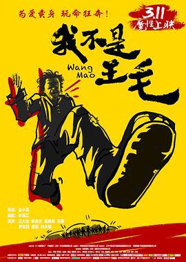 我不是王毛 (2014)海报