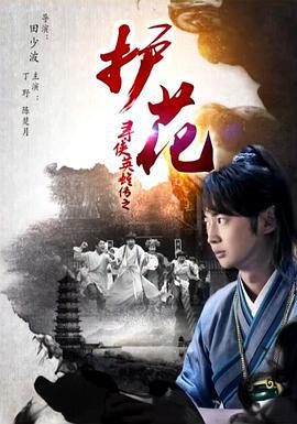 寻侠英雄传之护花 (2016)海报