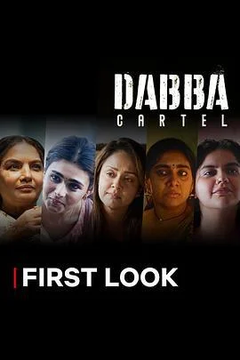 毒枭煮妇 Dabba Cartel (2025)海报