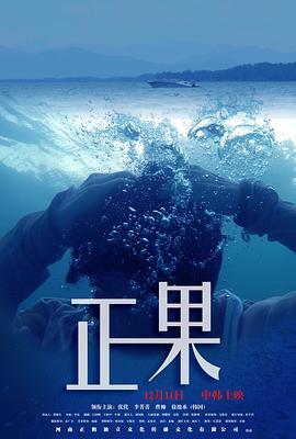 正果 (2015)海报