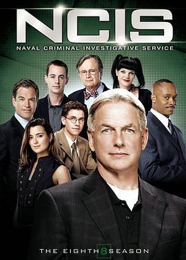 海军罪案调查处 第八季 NCIS: Naval Criminal Investigative Service Season 8 (2010)海报