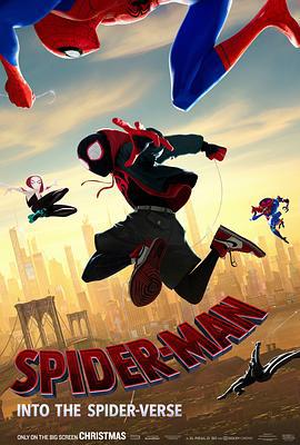 蜘蛛侠：平行宇宙 Spider-Man: Into the Spider-Verse (2018)海报