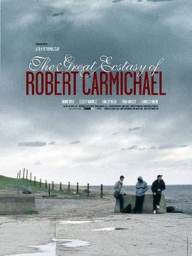 罗伯特超high The Great Ecstasy of Robert Carmichael (2005)海报