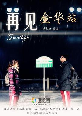 再见金华站 (2011)海报