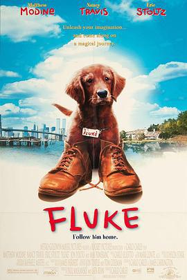 再世人狗缘 Fluke (1995)海报