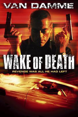 亡魂复活 Wake of Death (2004)海报