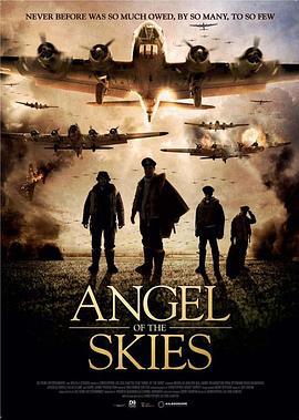 空中的天使 Angel of the Skies (2013)海报