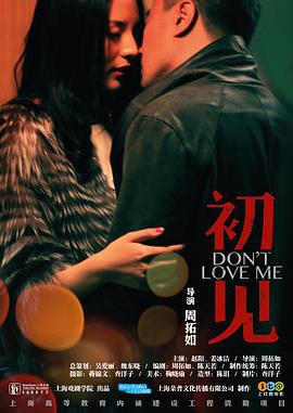 初见 (2013)海报