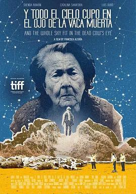 And The Whole Sky Fit In The Dead Cow’s Eye (2016)海报