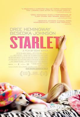 待绽蔷薇 Starlet (2012)海报