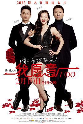 我愿意 (2012)海报