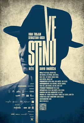 铁幕阴影下 Ve stínu (2012)海报