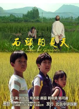 石头的夏天 (2016)海报