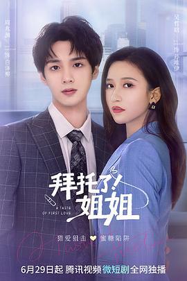 拜托了！姐姐 (2022)海报