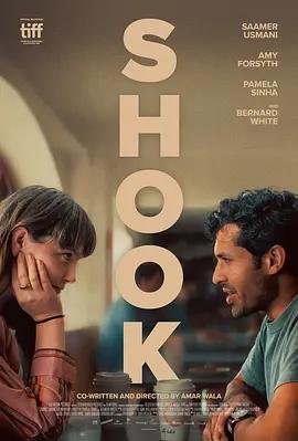 摇动 Shook (2024)海报