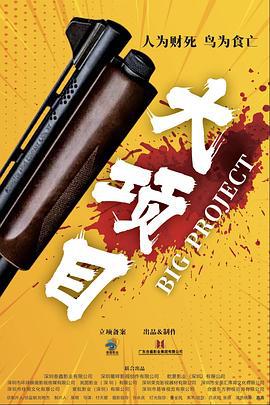 大项目 (2024)海报