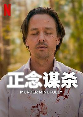 正念谋杀 Achtsam Morden (2024)海报