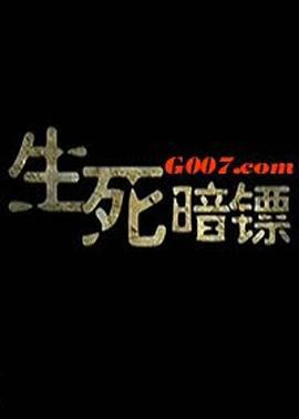 生死暗镖 (2010)海报