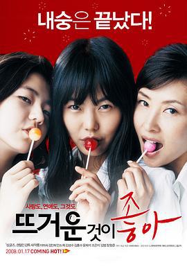 热情似火 뜨거운 것이 좋아 (2008)海报