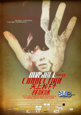 天上掉下个林妹妹 (2010)海报