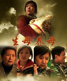 生母养母 (2007)海报