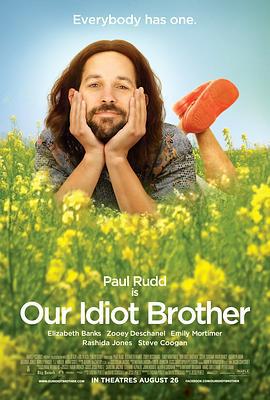 我们的傻老哥 Our Idiot Brother (2011)海报