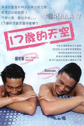 十七岁的天空 17歲的天空 (2004)海报