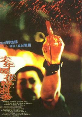 去年烟花特别多 (1998)海报