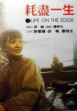耗尽一生 (1996)海报