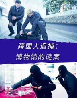 跨国大追捕：博物馆的谜案 (2016)海报