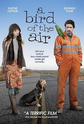 空中的飞鸟 A Bird of the Air (2011)海报