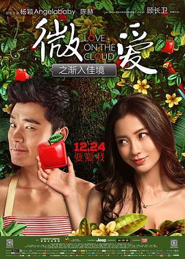 微爱之渐入佳境 (2014)海报