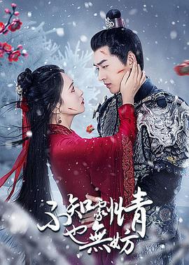 不知剧情也无妨 (2024)海报
