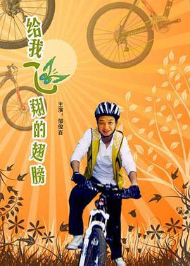 给我飞翔的翅膀 (2009)海报