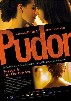 假正经 pudor (2007)海报