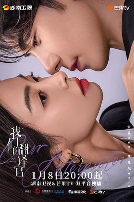 我们的翻译官 (2024)海报