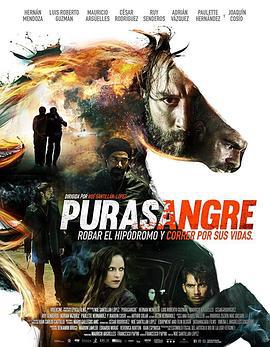 盗窃战 purasangre (2016)海报