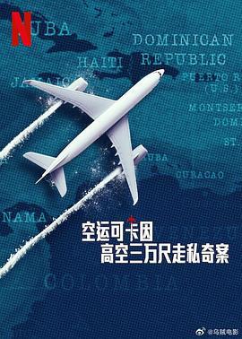 空运可卡因：高空三万尺走私奇案 Y a -t-il un dealer dans l'avion (2025)海报