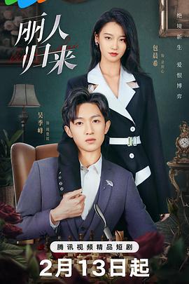 丽人归来 (2025)海报