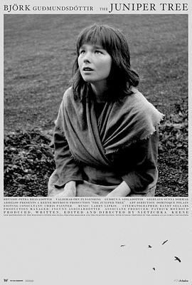 女巫恋人 The Juniper Tree (1990)海报