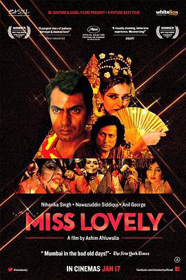 可爱小姐 Miss Lovely (2012)海报