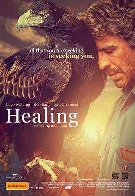 愈合 Healing (2014)海报