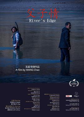 父子情 (2017)海报